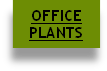 OFFICE
PLANTS